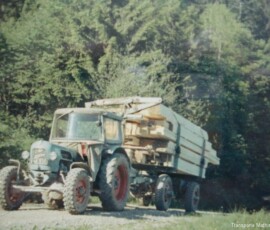 eicher-1