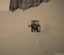 eicher-6