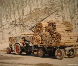 eicher-9