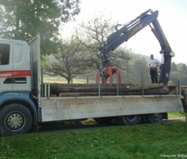 rundholztransporte-2